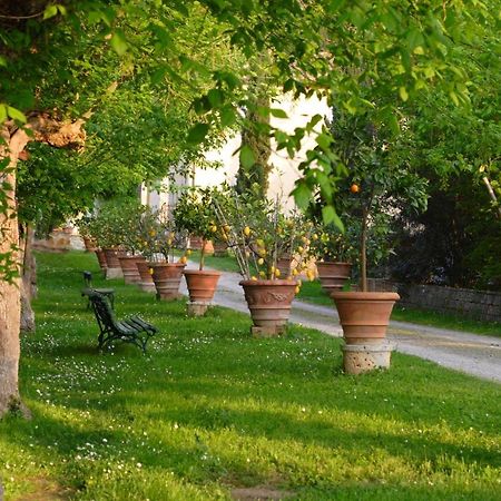 Ginestra Apartman Poggibonsi Kültér fotó